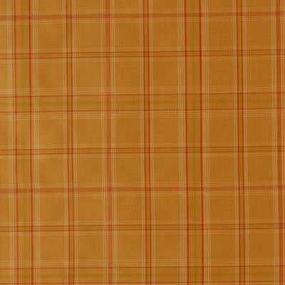 ROBERT ALLEN FABRICS-RAYMOUR -CASHEW