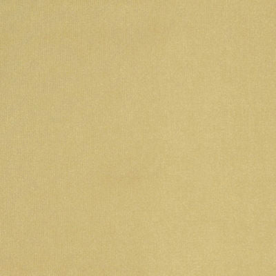 ROBERT ALLEN FABRICS-BELLE AMI -CHAMPAGNE