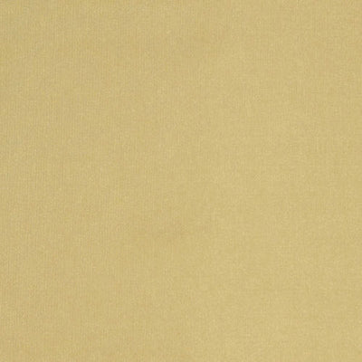 ROBERT ALLEN FABRICS-BELLE AMI -CHAMPAGNE