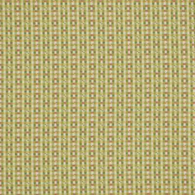 ROBERT ALLEN FABRICS-PASTEL CHECK -LEAF