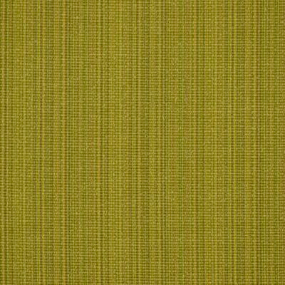 ROBERT ALLEN FABRICS-RUN ALONG -KIWI