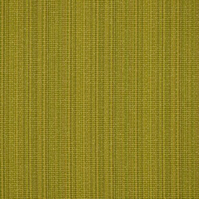 ROBERT ALLEN FABRICS-RUN ALONG -KIWI