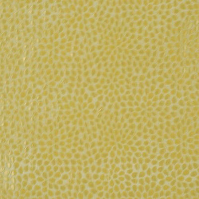 ROBERT ALLEN FABRICS-MOSAIC PETAL -MAIZE
