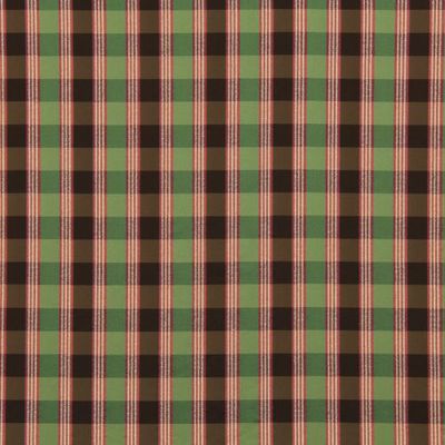 ROBERT ALLEN FABRICS-LINE PLAID -TERRAIN