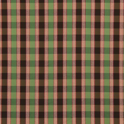 ROBERT ALLEN FABRICS-LINE PLAID -TERRAIN