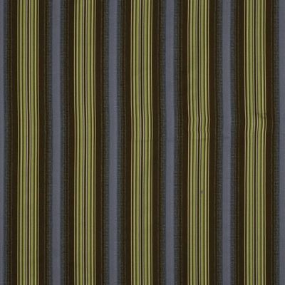 ROBERT ALLEN FABRICS-SUMMER STITCH -TERRAIN