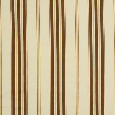 ROBERT ALLEN FABRICS-COTTER -TERRAIN