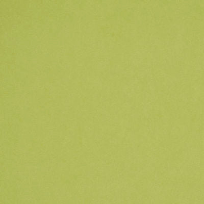 ROBERT ALLEN FABRICS-CRYPTON SUEDE -HONEYDEW