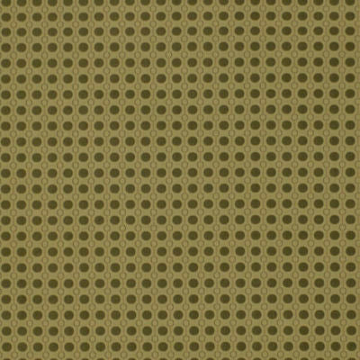 ROBERT ALLEN FABRICS-RINGLEADER -DUNE