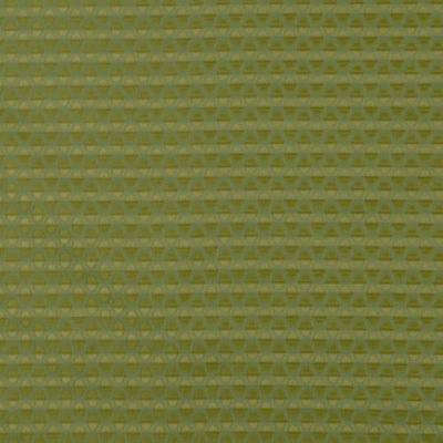 ROBERT ALLEN FABRICS-BROMSTAD -OASIS
