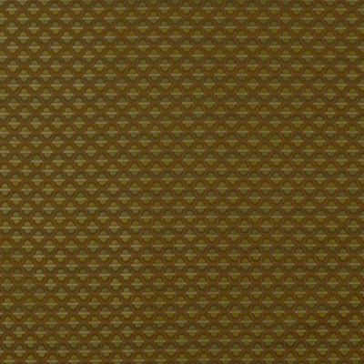 ROBERT ALLEN FABRICS-BROMSTAD -PUMPKIN