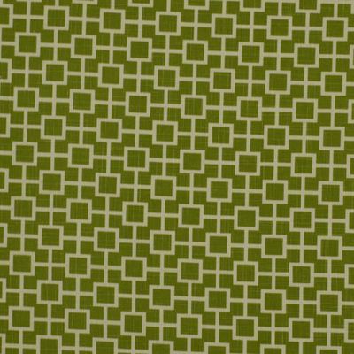 ROBERT ALLEN FABRICS-CATS CRADLE -GRASS