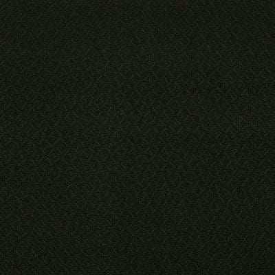 ROBERT ALLEN FABRICS-MAR A LAGO -NOIR