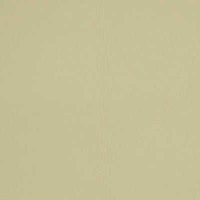 ROBERT ALLEN FABRICS-COLTIN -OATMEAL