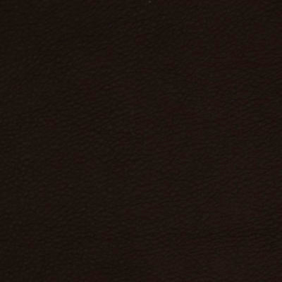 ROBERT ALLEN FABRICS-COLTIN -RAISIN