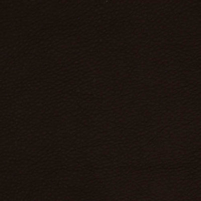 ROBERT ALLEN FABRICS-COLTIN -RAISIN