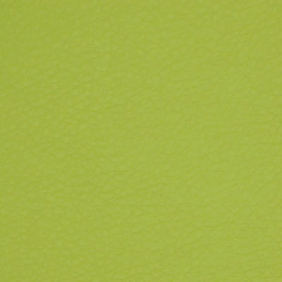 ROBERT ALLEN FABRICS-COLTIN -APPLE