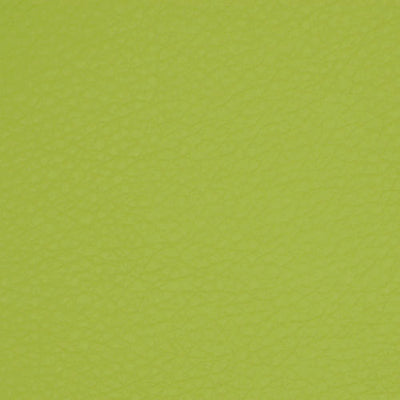 ROBERT ALLEN FABRICS-COLTIN -APPLE