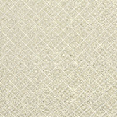 ROBERT ALLEN FABRICS-ARTISINAL -LEMONCURRY