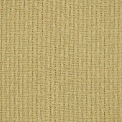 ROBERT ALLEN FABRICS-MAR A LAGO -STUCCO