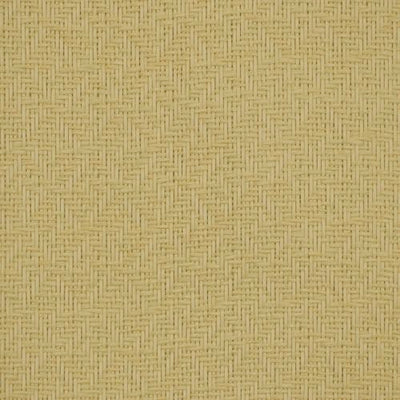 ROBERT ALLEN FABRICS-MAR A LAGO -STUCCO