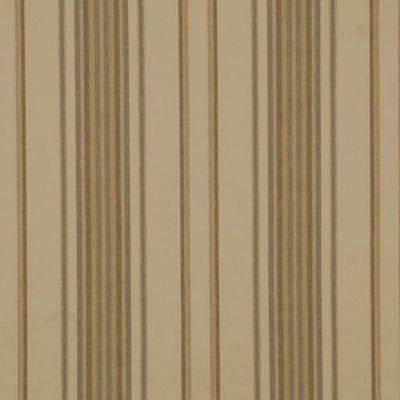 ROBERT ALLEN FABRICS-BUENA VISTA -STUCCO