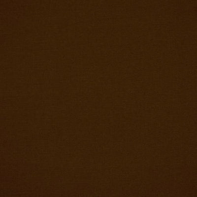 ROBERT ALLEN FABRICS-CANVAS DUCK -BARK