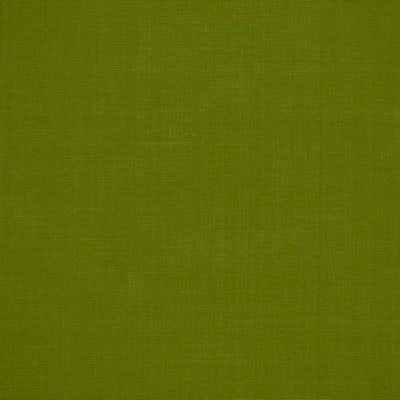 ROBERT ALLEN FABRICS-ZAHARA -LEAF