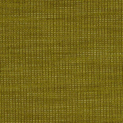 ROBERT ALLEN FABRICS-MEAH -KIWI