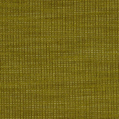 ROBERT ALLEN FABRICS-MEAH -KIWI
