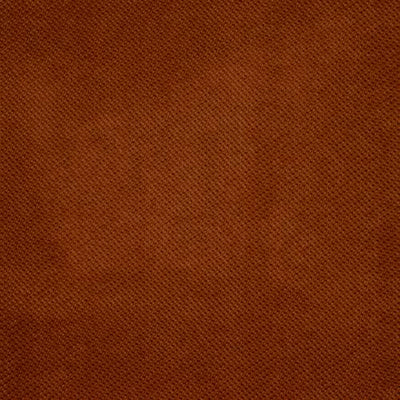 ROBERT ALLEN FABRICS-OPEN FIELD -RUST