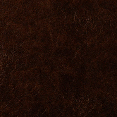ROBERT ALLEN FABRICS-SOFT AND SHINY -TRUFFLE
