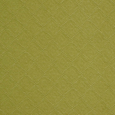 ROBERT ALLEN FABRICS-BRIGHTWOOD -WASABI
