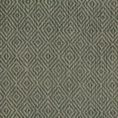 ROBERT ALLEN FABRICS-FREDERICKSON -TERRAIN