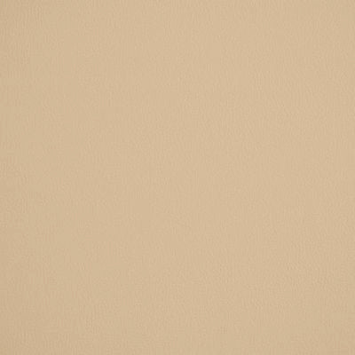 ROBERT ALLEN FABRICS-ANANZI -IVORY