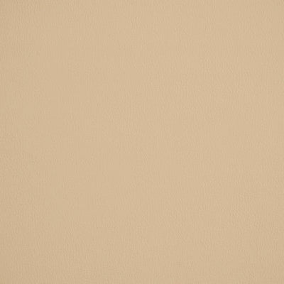 ROBERT ALLEN FABRICS-ANANZI -IVORY
