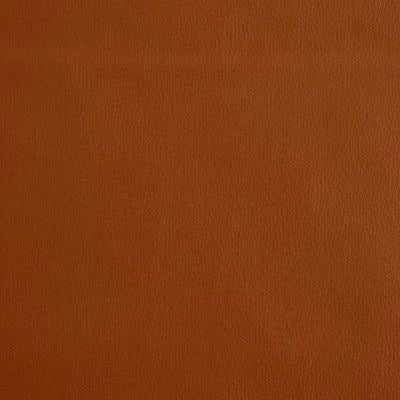 ROBERT ALLEN FABRICS-ANANZI -GINGER
