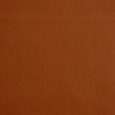 ROBERT ALLEN FABRICS-ANANZI -GINGER