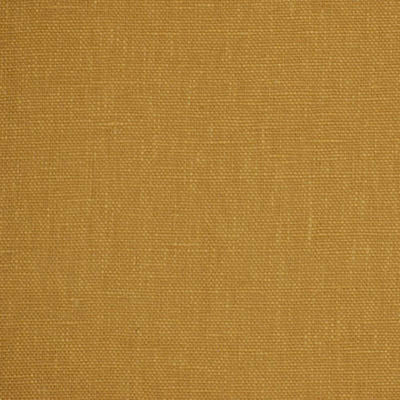 ROBERT ALLEN FABRICS-ASTAMOR -CORK