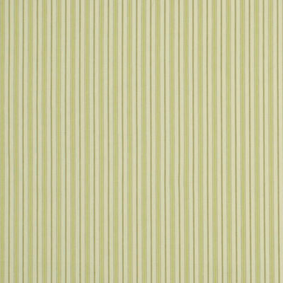 ROBERT ALLEN FABRICS-KIND KELLY -LEEK