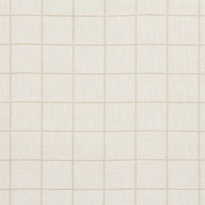 ROBERT ALLEN FABRICS-UNSCRIPTED -CLOUD