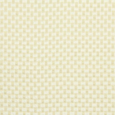 ROBERT ALLEN FABRICS-INTERTWINED -CLOUD
