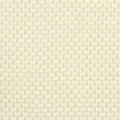 ROBERT ALLEN FABRICS-INTERTWINED -CLOUD