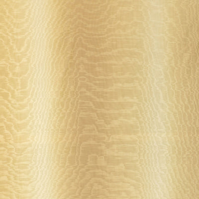 LEE JOFA-HORIZONTE-4