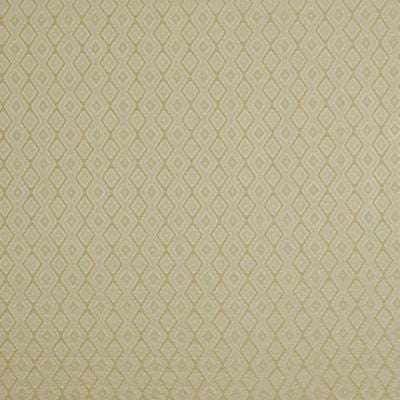 BEACON HILL FABRICS-CARCOVA -FROST