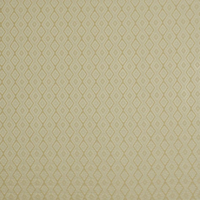 BEACON HILL FABRICS-CARCOVA -FROST