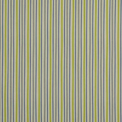 ROBERT ALLEN FABRICS-ZOO STRIPE -GREY