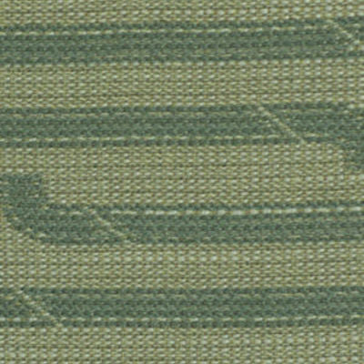 ROBERT ALLEN FABRICS-RACE TRACK -ALOE
