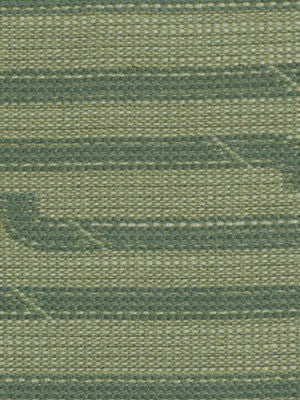 ROBERT ALLEN FABRICS-RACE TRACK -ALOE
