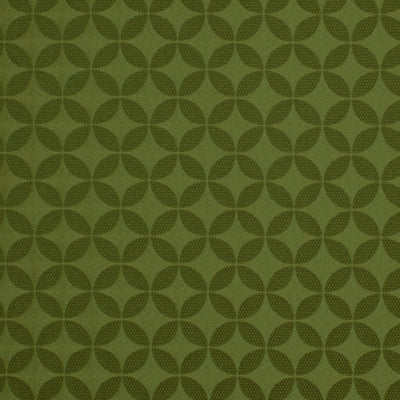 ROBERT ALLEN FABRICS-ASTERLING -EDAMAME